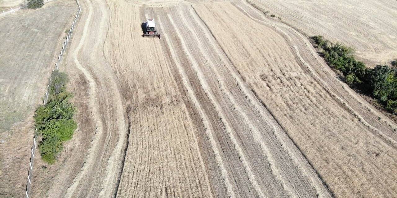 Kırklareli’de buğday hasadında sona gelindi, kurak bölgelerde verim düştü