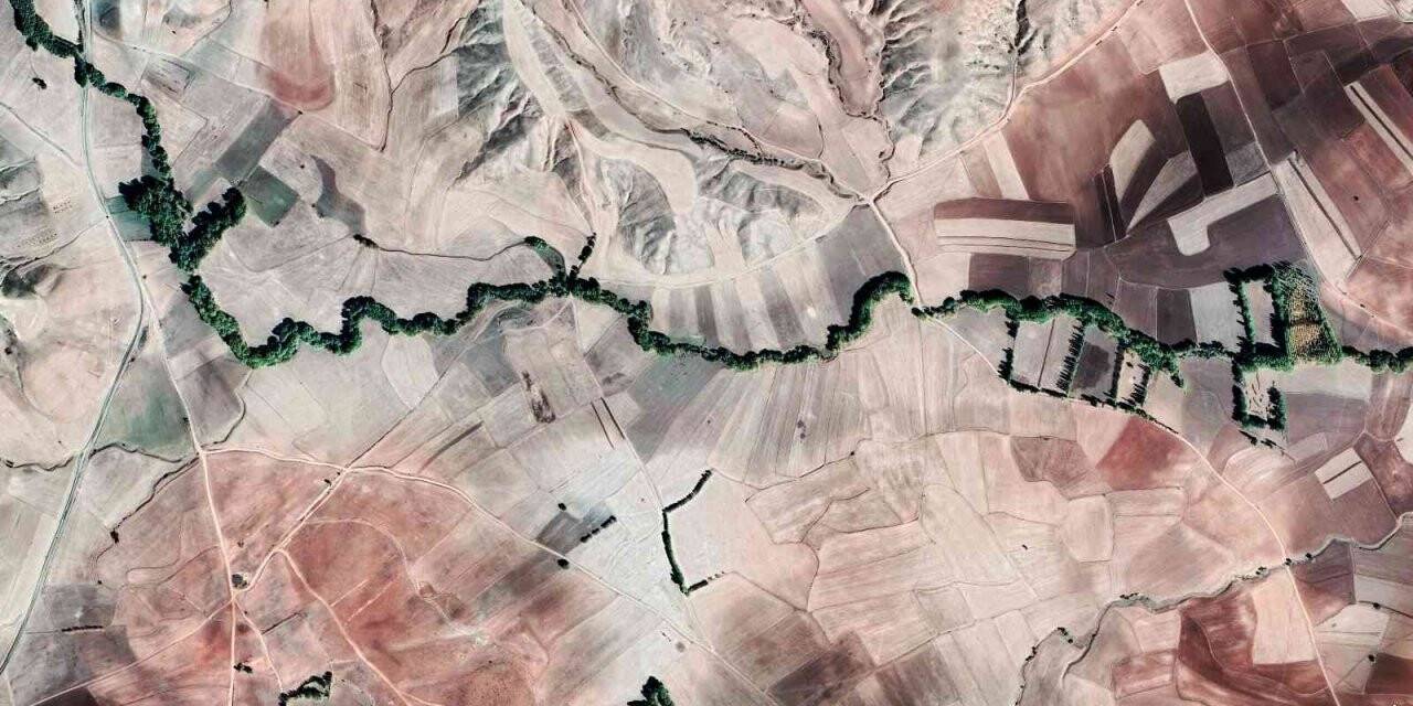 Menderes görünümlü orman dikkat çekiyor