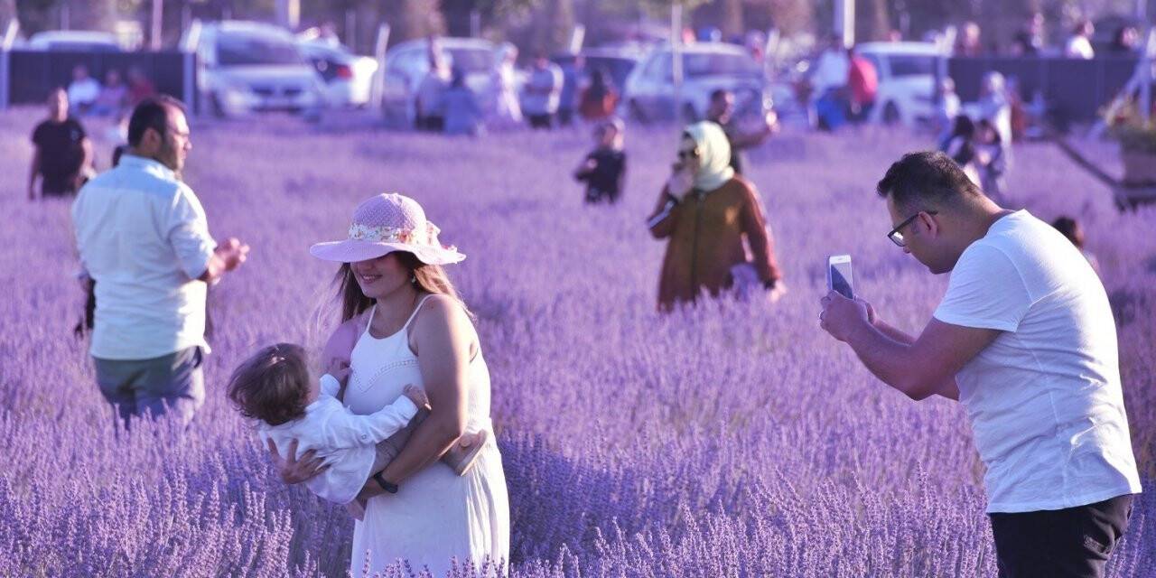 Karatay Lavanta Günleri’ne 2 günde 120 bin kişi katıldı