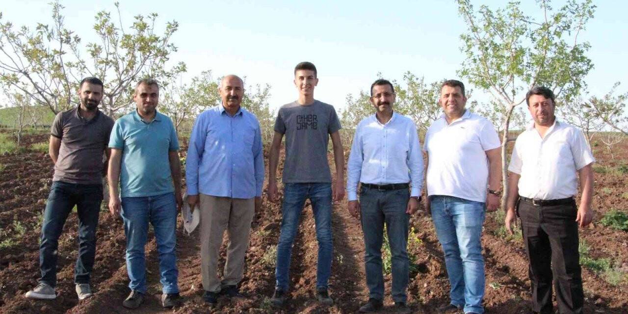 Okumak için geldiği Siirt’te üretici olmayı hedefliyor