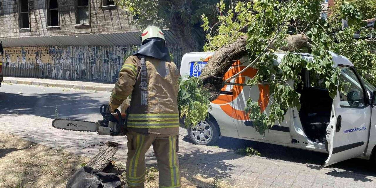 Kadıköy’de seyir halindeki aracın üzerine ağaç devrildi