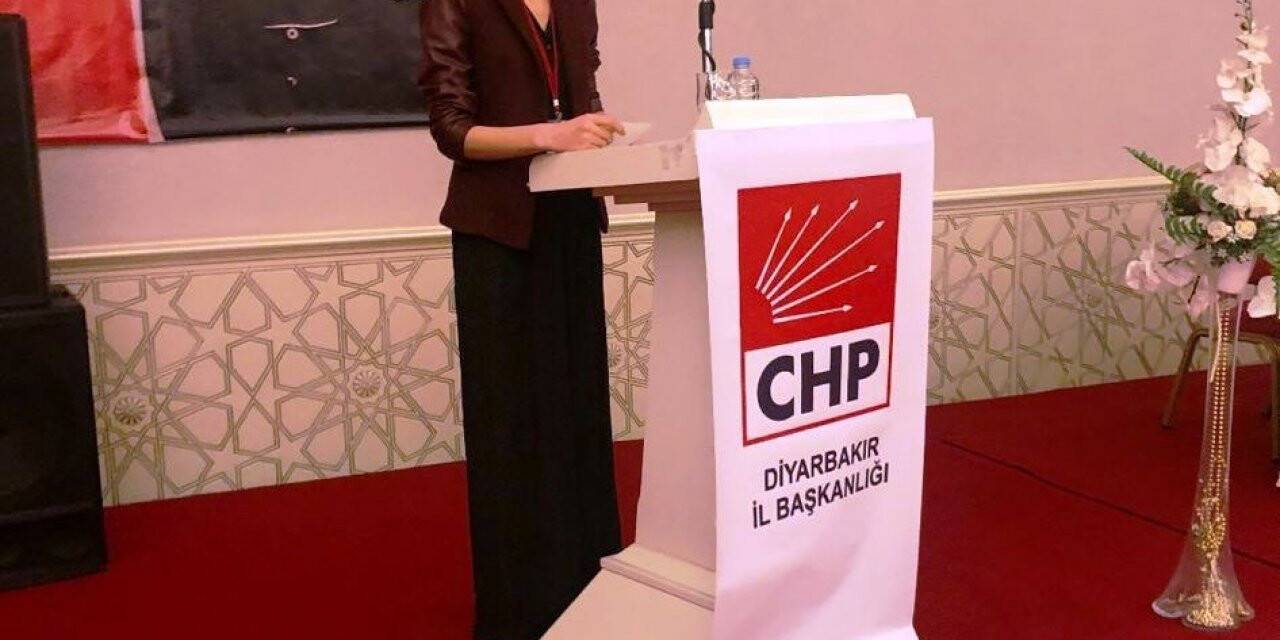 CHP’ye kayyum atandı