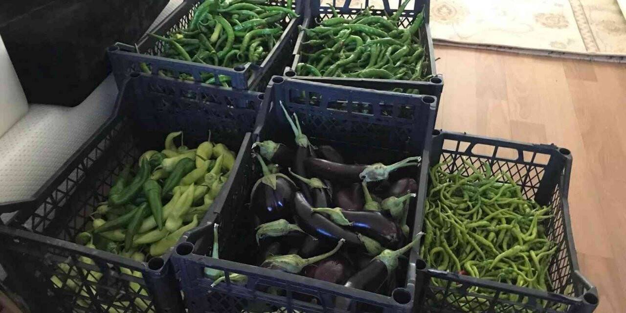 Aydın’da vatandaşları kurutmalık telaşı sardı