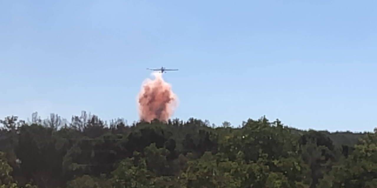 Gaziantep’teki orman yangını 1 saatte kontrol altına alındı