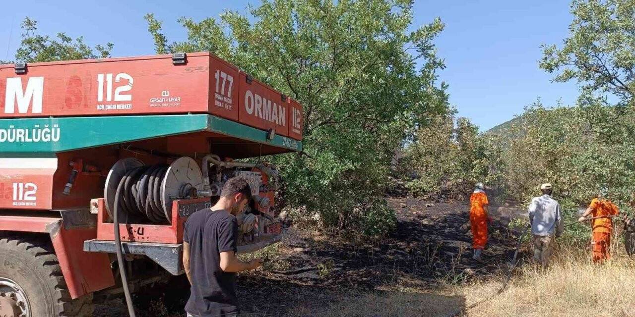 Bingöl’de orman yangını büyümeden söndürüldü