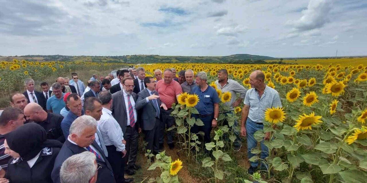 Bakan Yardımcısı Pakdil’den tırtıl istilası konusunda rahatlatan açıklama: “Ürkütücü bir tablo yok”