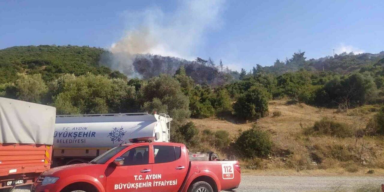 Aydın’da orman yangını