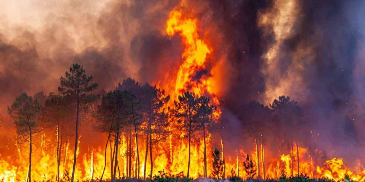 İspanya’da 30 farklı noktada yangınla mücadele sürüyor