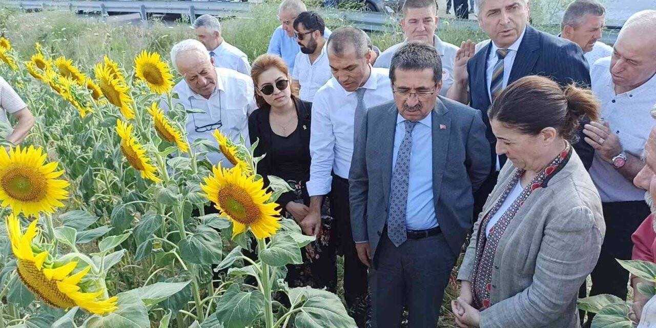 Tarım ve Orman Bakan Yardımcısı Pakdil: "Rekolte açısından bir kaybımız olmaz"