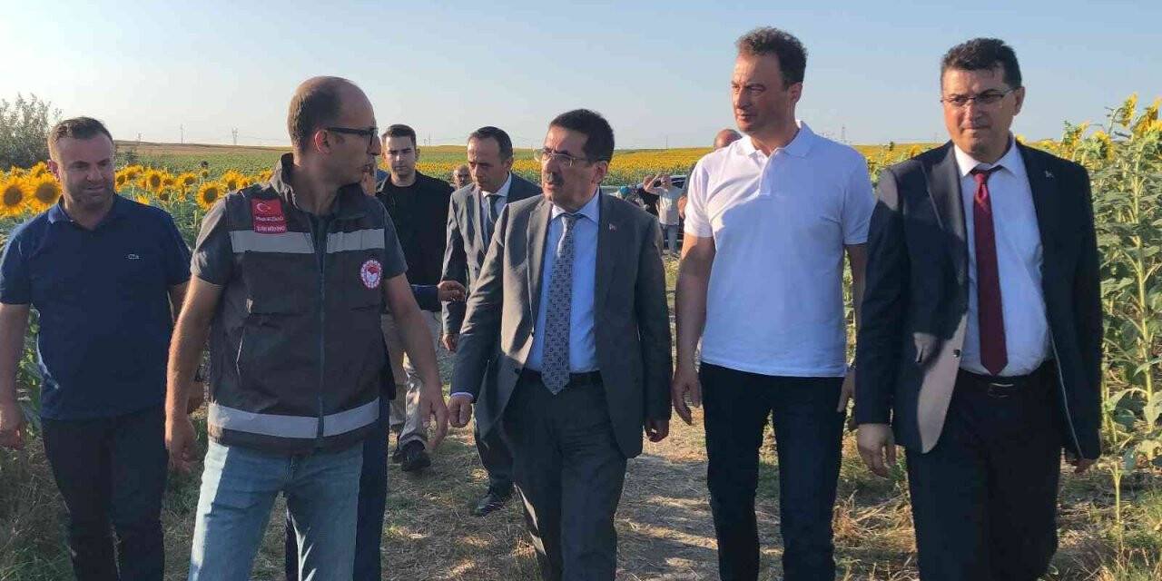 Tarım ve Orman Bakan Yardımcısı Pakdil: “Edirne ve Kırklareli’nde çayır tırtılı sorununu hemen hemen bitti diyebiliriz”