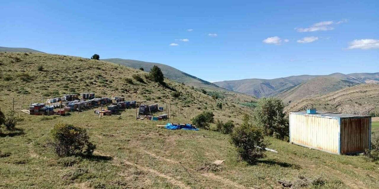 Kovan hırsızları kıskıvrak yakalandı