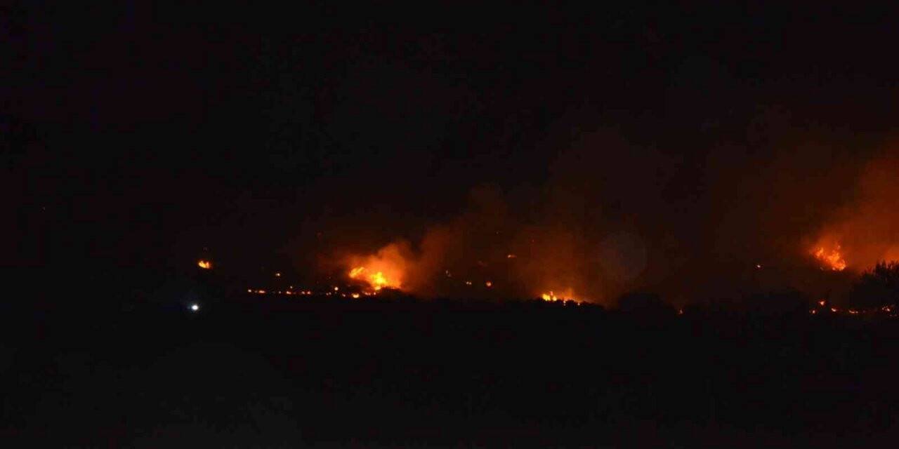 Didim’de makilik yangını korkuttu