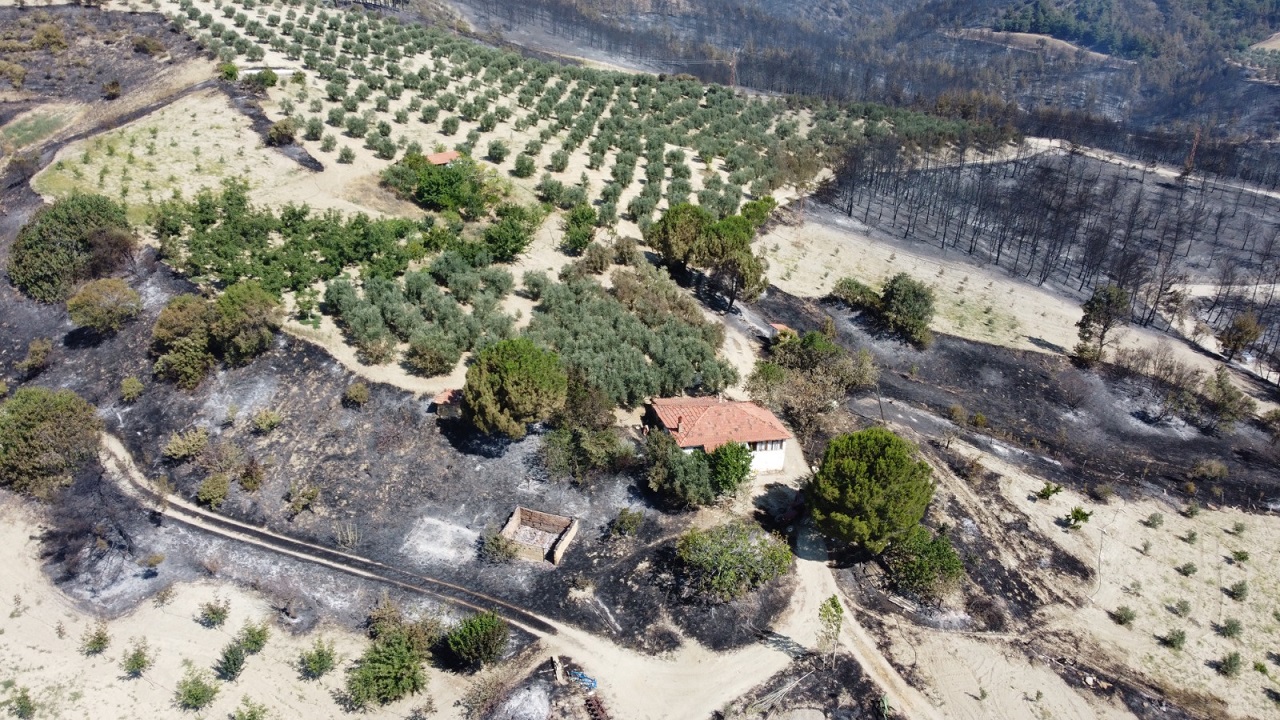 185 hektar alanın zarar gördüğü yangına ilişkin 2 kişi tutuklandı