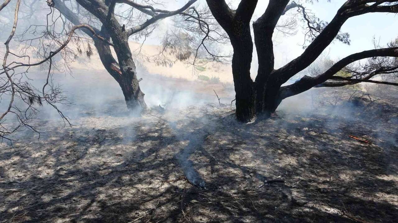 Antalya’da çamlık alandaki yangın kontrol altına alındı