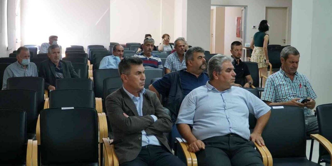 Mustafakemalpaşa’da dronlar çayır tırtılları için yükselecek