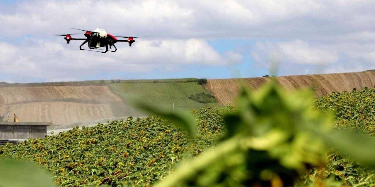 Yalova’da çayır tırtılı ile dronlu mücadele