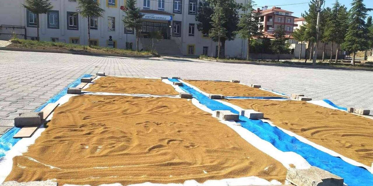 Hisarcık’ta şifa deposu haşhaş tohumları yıkanıp güneşte kurutuluyor