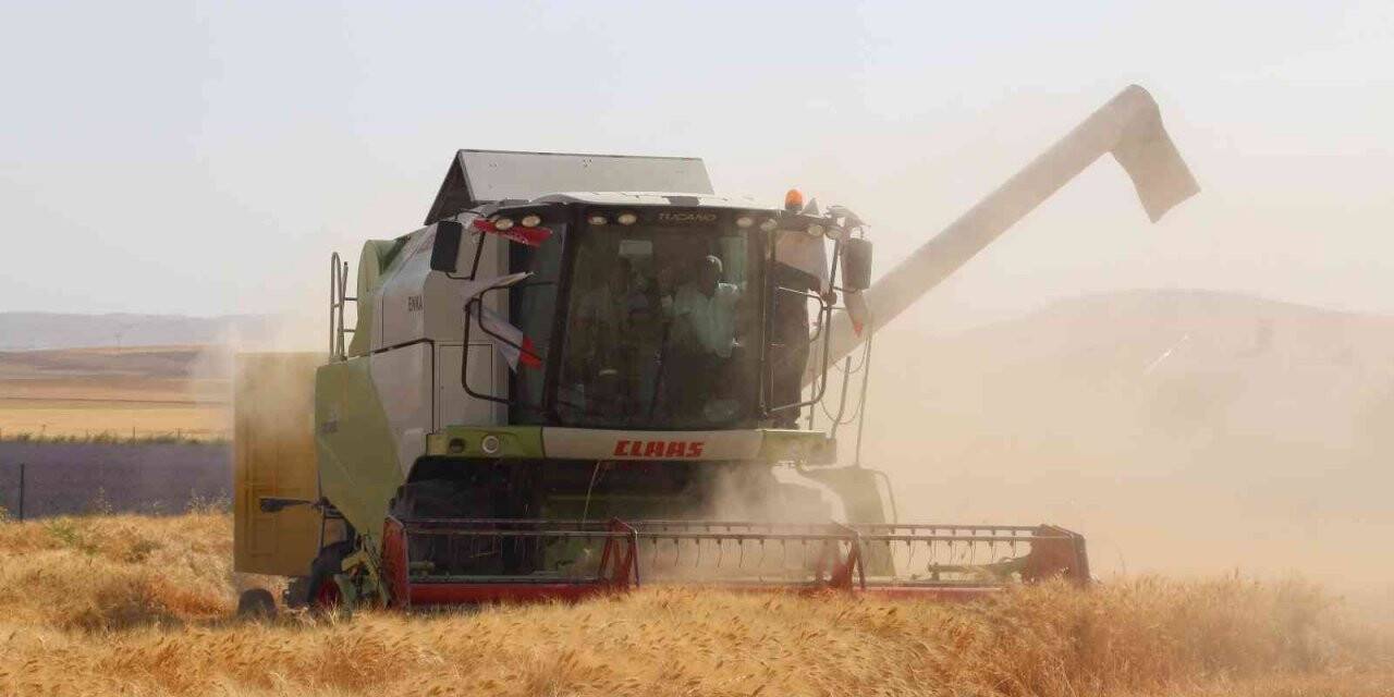 Siirt’te son 20 yılın en bereketli hasadı yaşandı