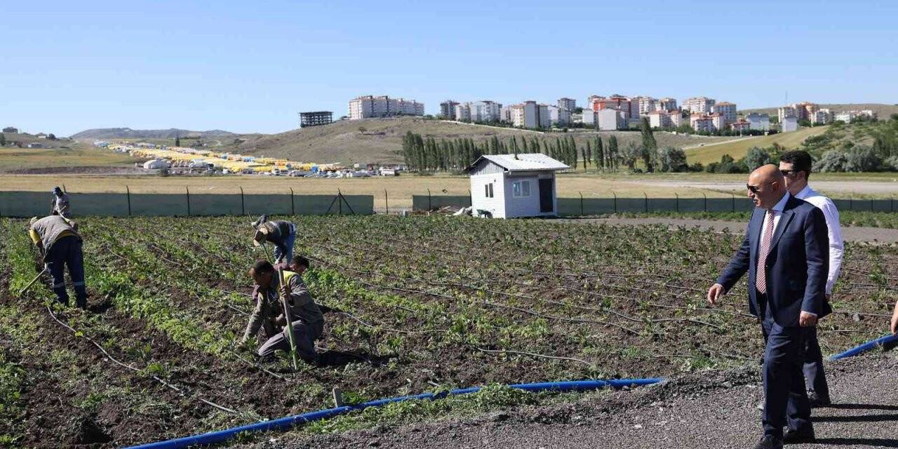 Tarımsal üretim için örnek bostan