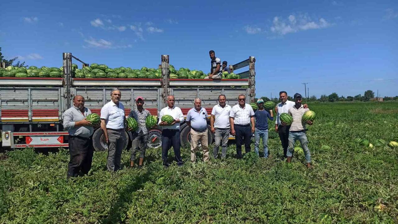 Türkiye’de damakları Bafra karpuzu tatlandırıyor