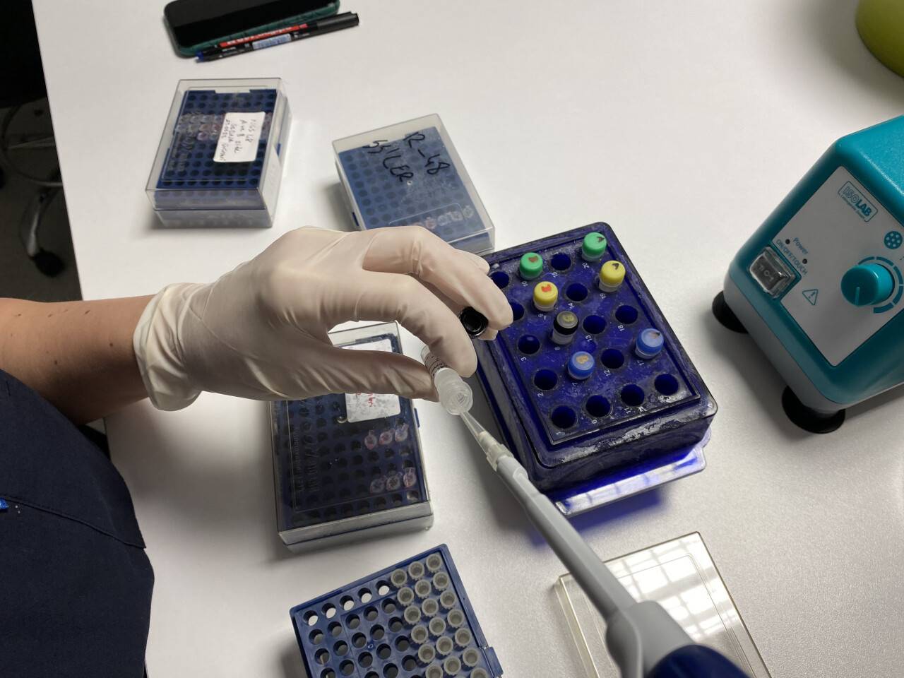 Uzmanlardan uyarı: "2 dakikada 1 kişiyi öldürüyor, lütfen tarama testi yaptırın"