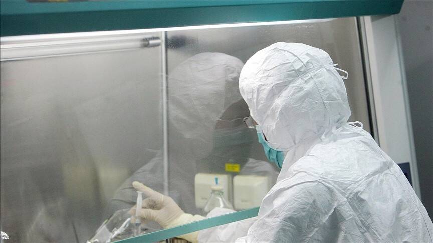 Maymun Çiçeği salgını Japonya’ya sıçradı