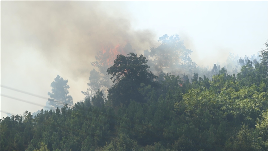 Sakarya'da çıkan orman yangınına müdahale ediliyor