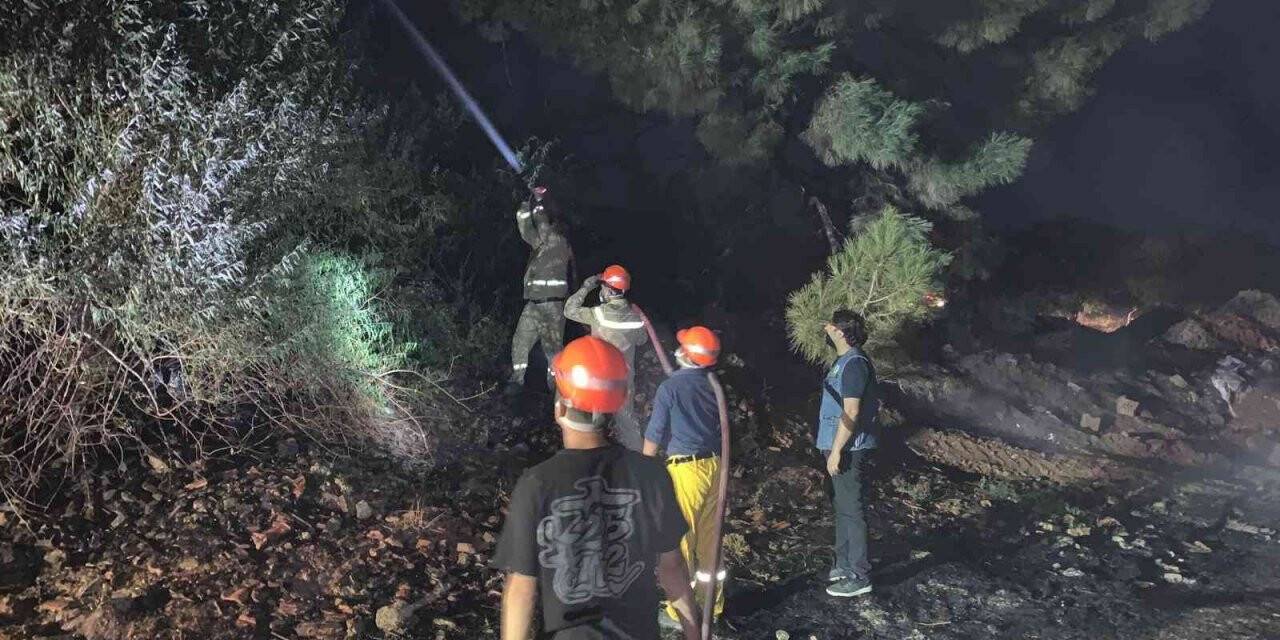 Kuru otların tutuşmasıyla başlayan yangın ormana ulaşamadan söndürüldü