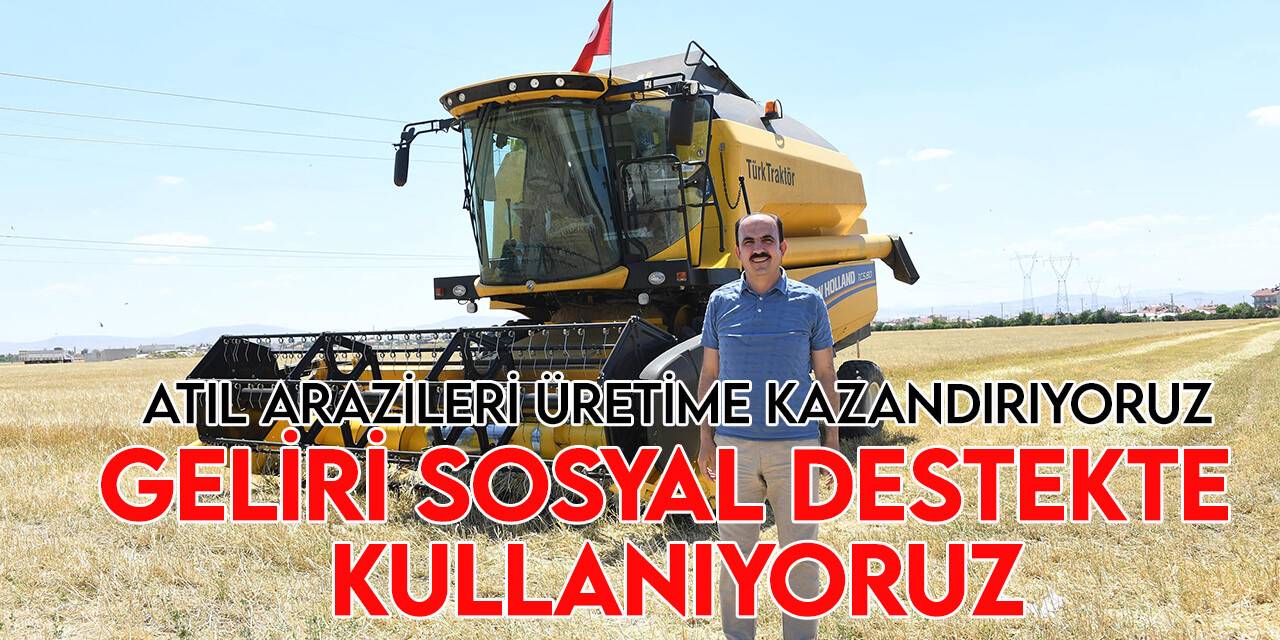 Atıl arazilerde kuraklığa dayanıklı bitkilerin üretimi çiftçiye destek oluyor