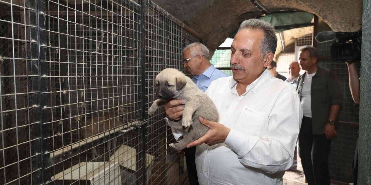 Başkan Yalçın, Patievinde minik dostlarla