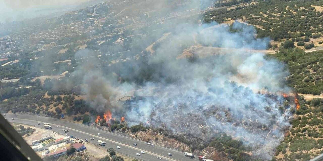 İzmir’de makilik alandaki yangına havadan ve karadan müdahale