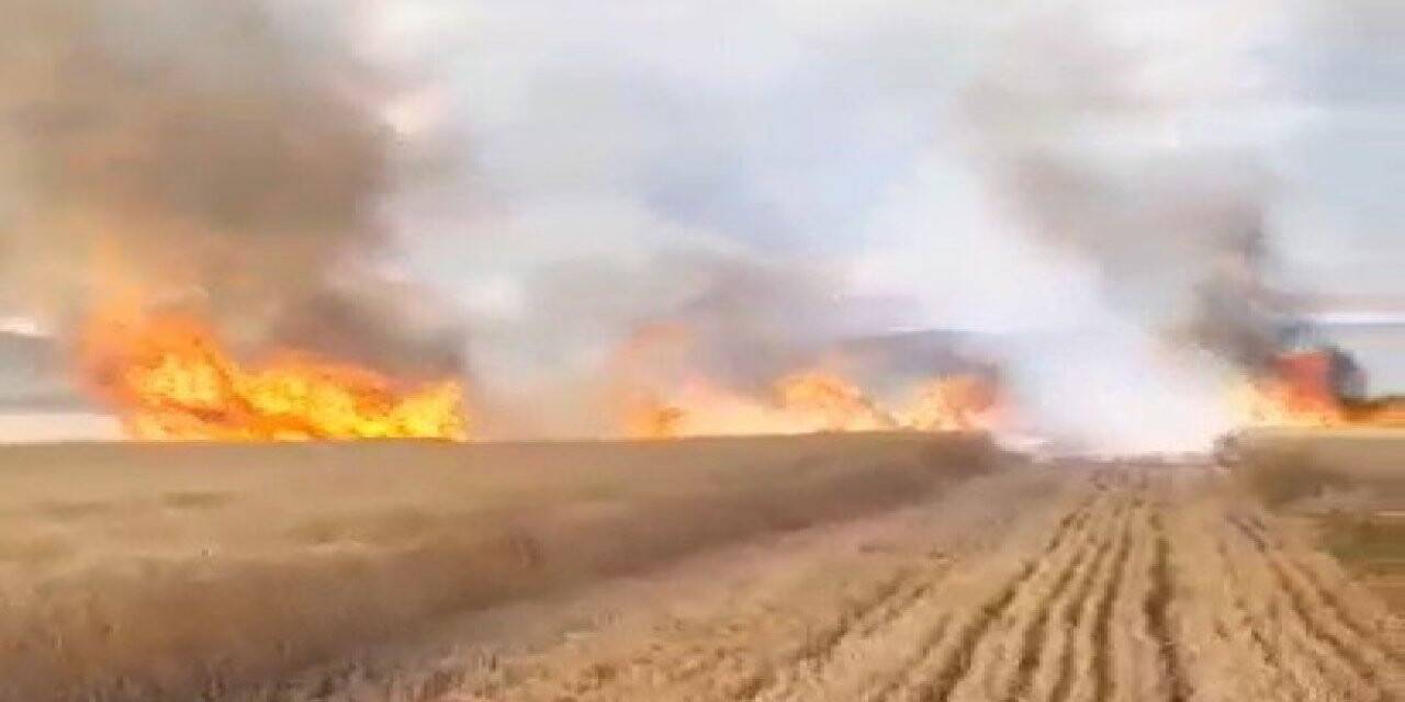 Tokat’ta, 30 dönüm buğday tarlası kül oldu