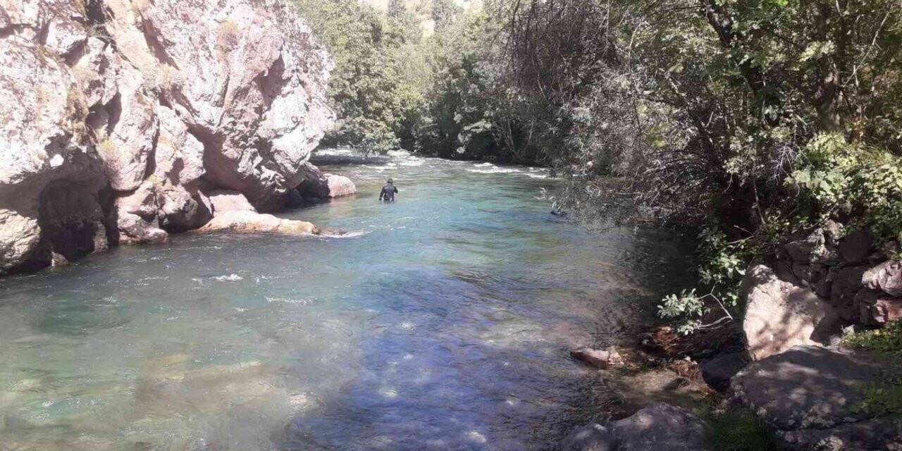Kayıp hemşireyi arama çalışmaları 45’inci gününde devam ediyor