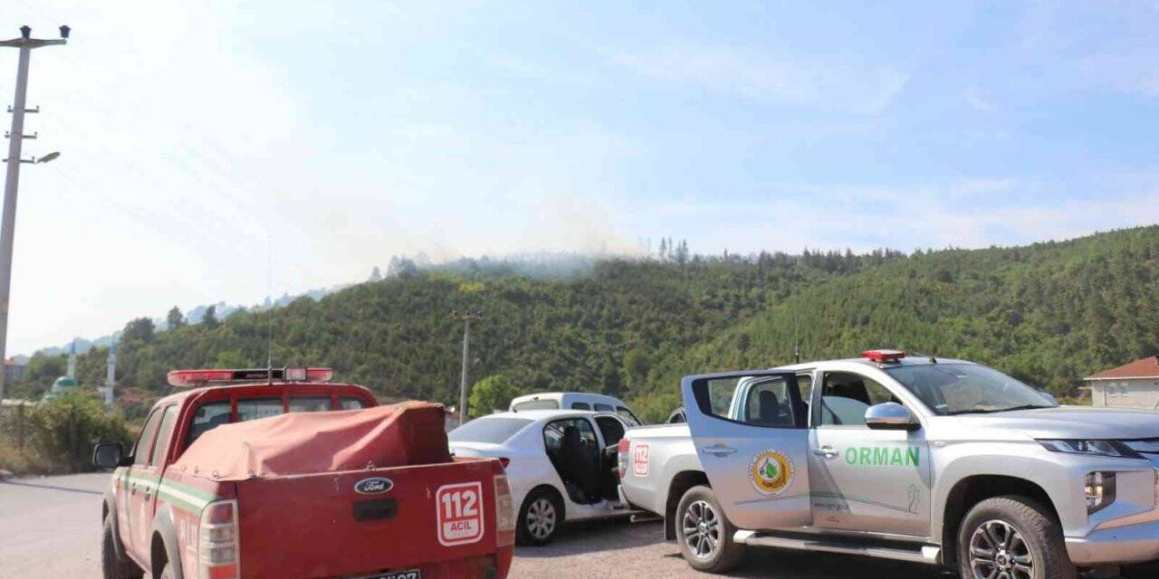 Sakarya’da ormanlık alanda yangın çıktı, çok sayıda ekip sevk edildi