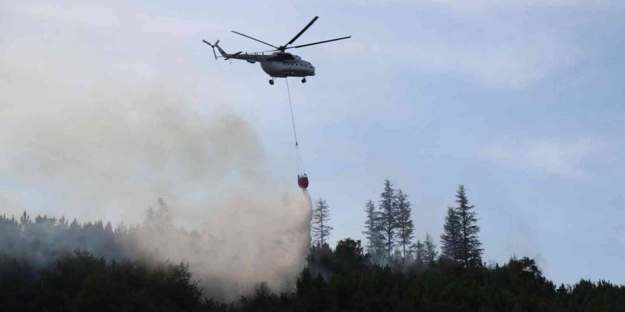 Sakarya’daki orman yangını kontrol altına alındı
