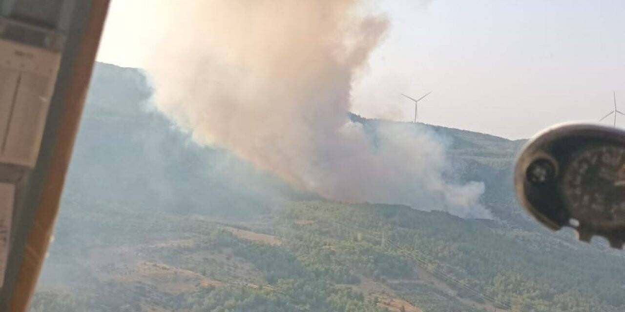 Söke’de orman yangını