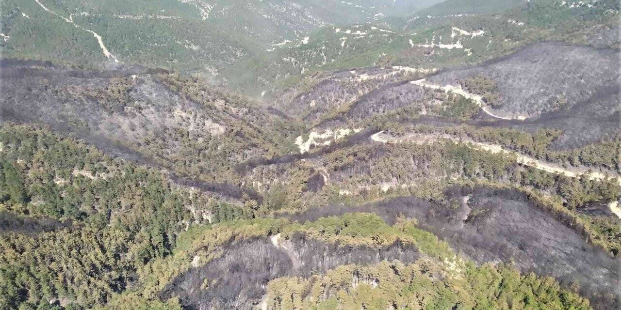 Emet’te yanan ormanlık alan havadan görüntülendi