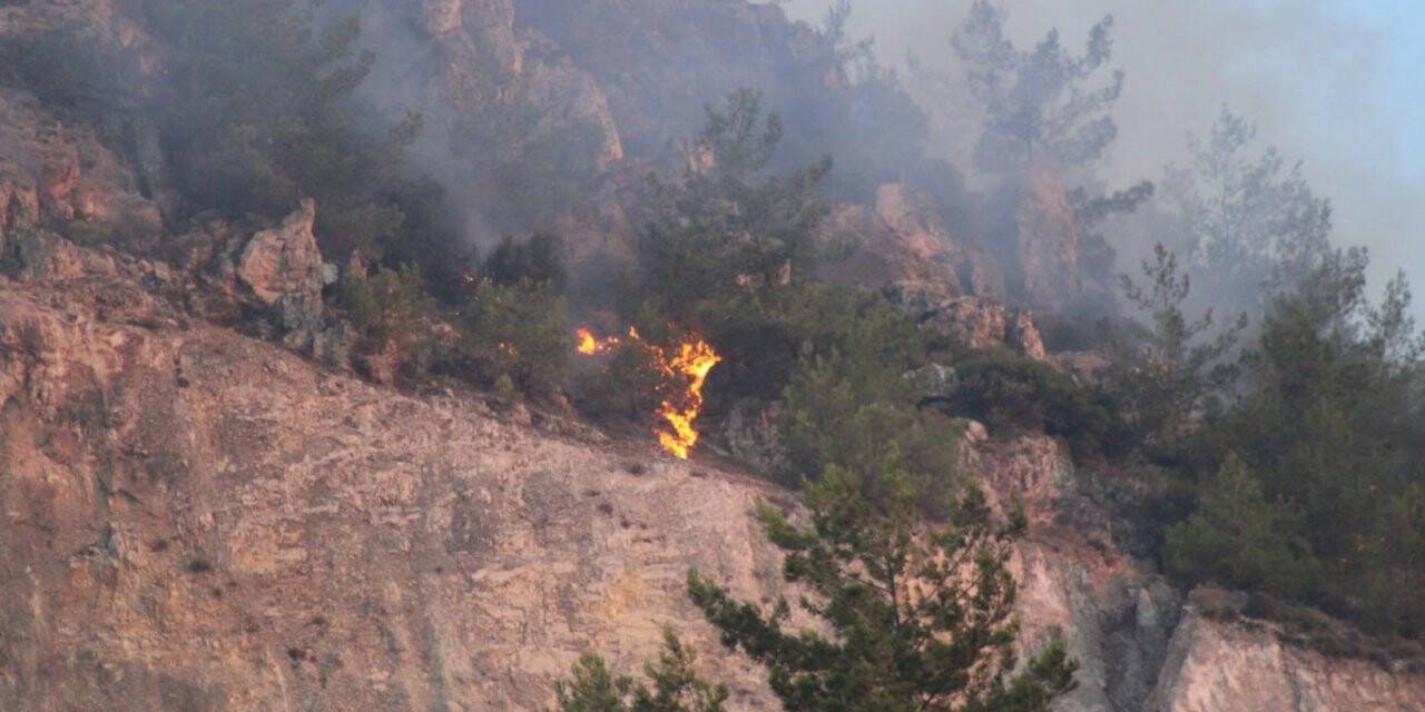Söke Argavlı yangınında söndürme çalışmaları devam ediyor