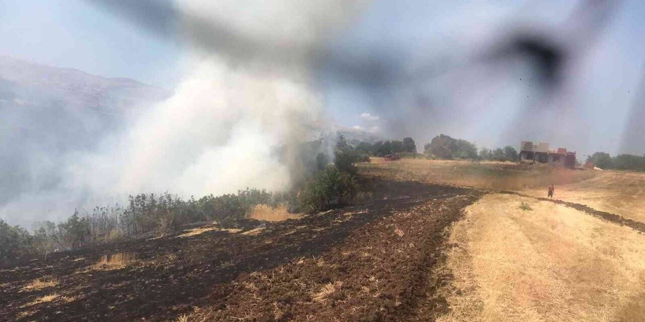 Bingöl’ün köylerinde çıkan orman yangını söndürüldü
