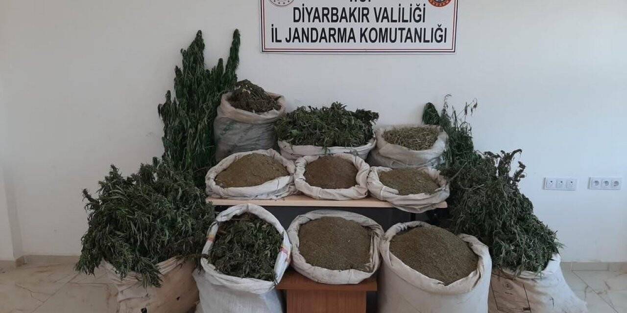 İçişleri Bakanlığı duyurdu: ‘2 milyonu aşkın kök kenevir ele geçirildi