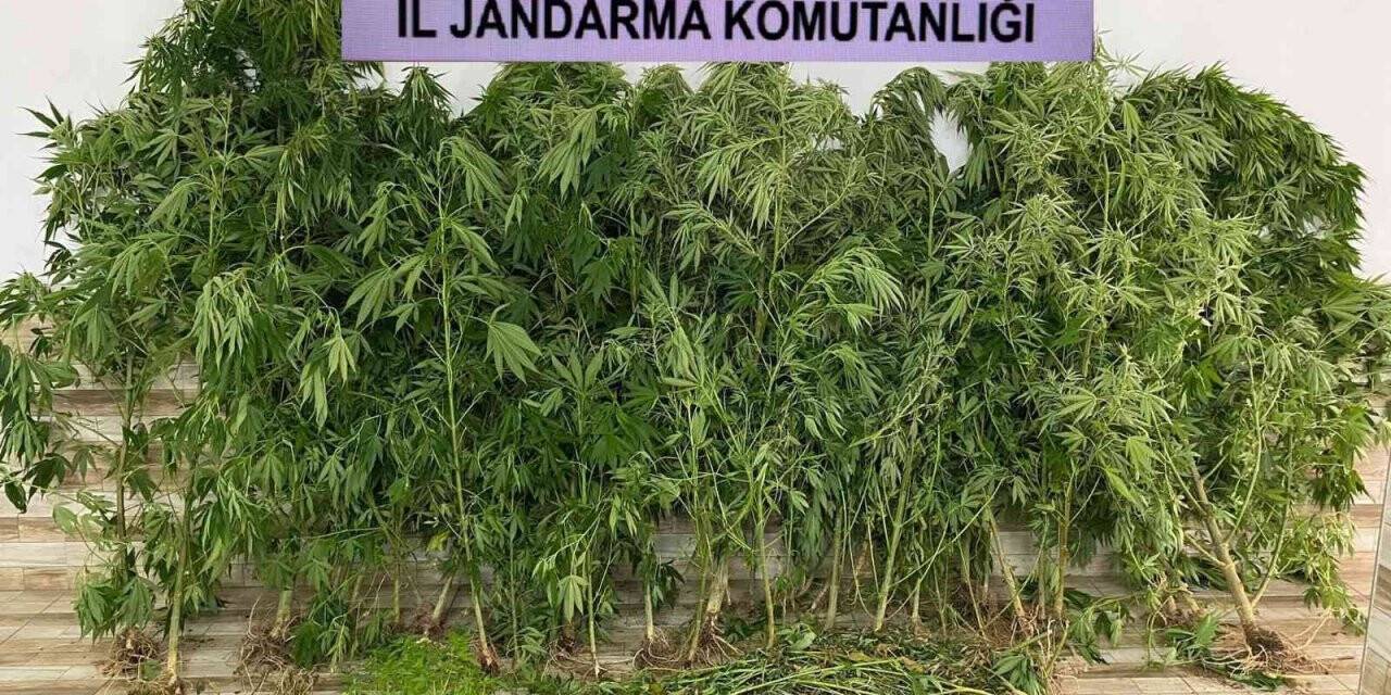 Sakarya’da uyuşturucu operasyonu: 2 gözaltı