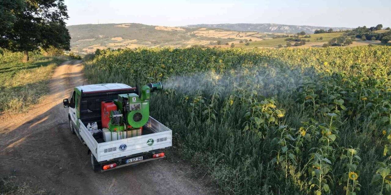 Büyükşehir’de ‘tırtıl’ seferberliği