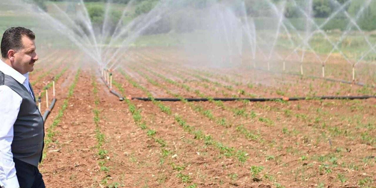 Balıkesir’in toprağı büyükşehir ile bereketleniyor