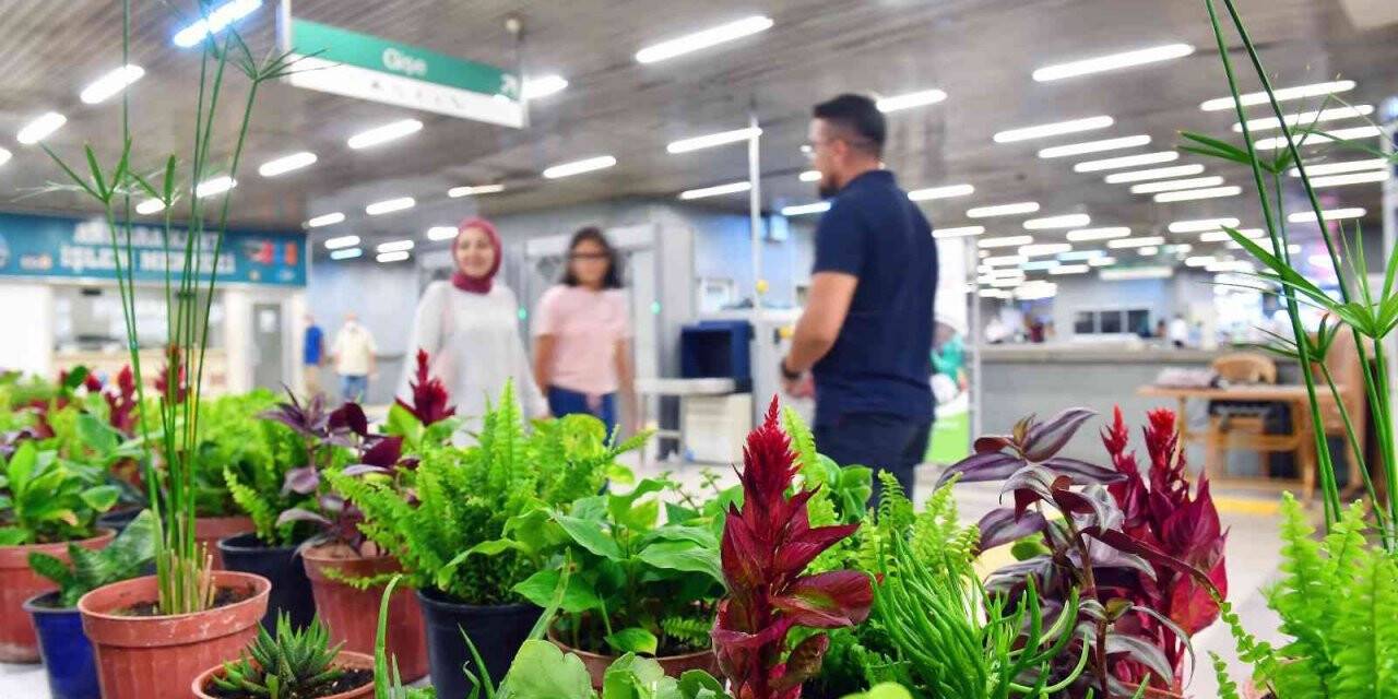 Çiçek takası uygulamasının şimdiki adresi Beşevler Metrosu oldu