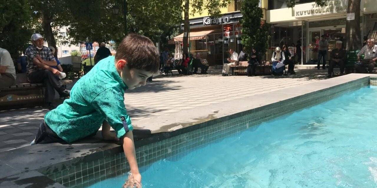 Sıcaklar bunalttı, süs havuzu kenarları doldu