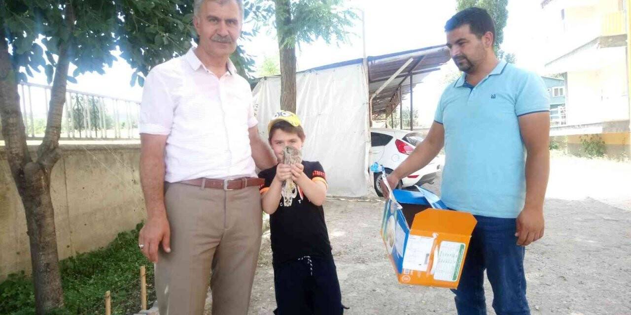 Kars’ta yaralı Kerkenez tedavi altına alındı