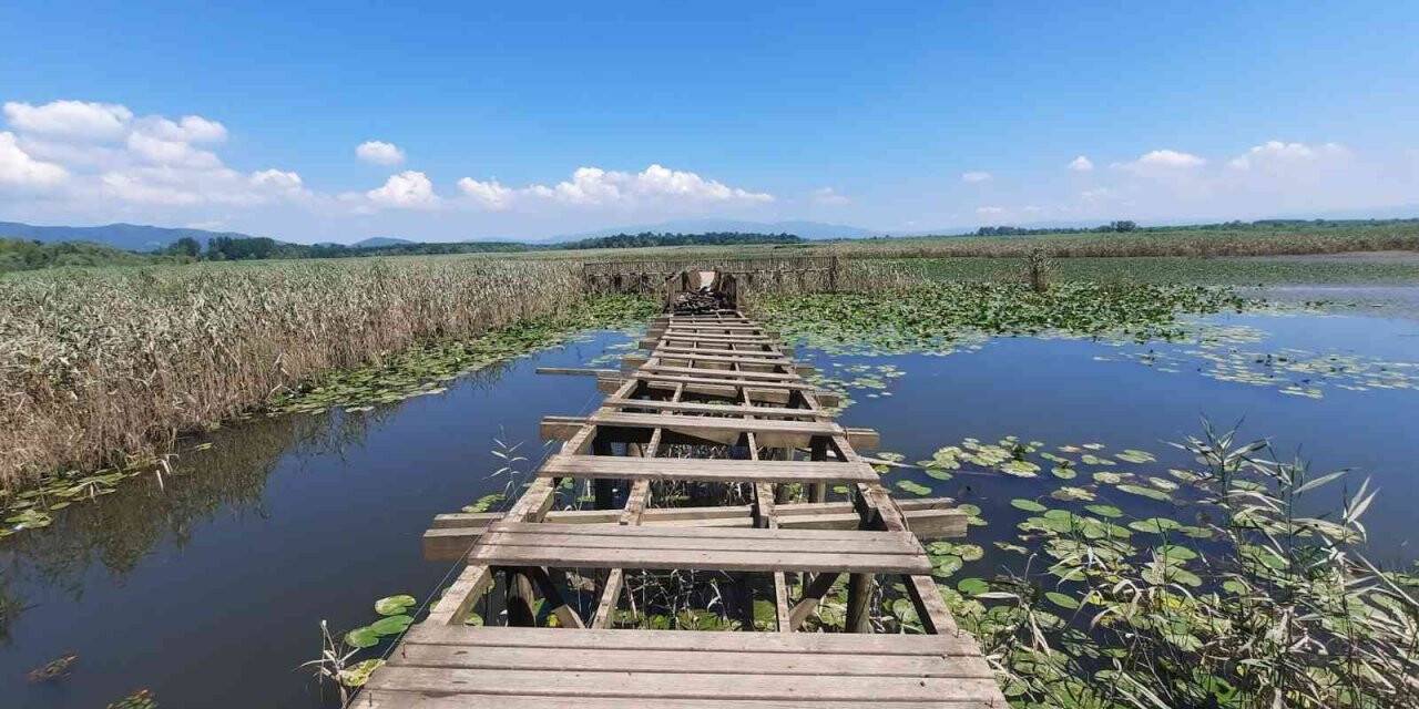 Efteni Gölü’nde iskele onarımı başladı