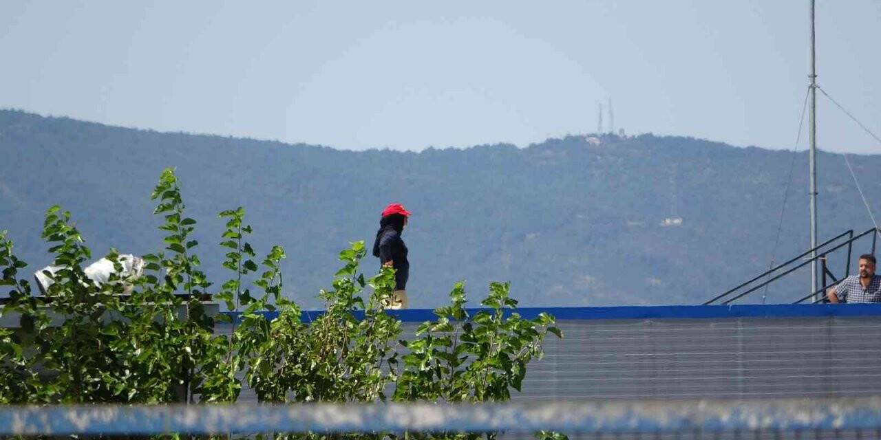 Tuzla’da tazminatının eksik verildiğini iddia eden kadın işçi fabrikanın çatısına çıktı