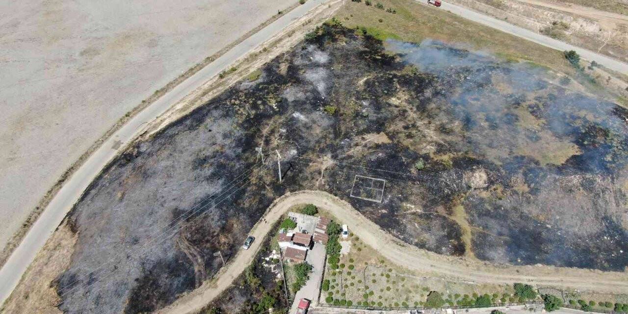 Alevleri yerleşim yerlerine sıçramadan söndürdüler...Yanmak üzere olan kaplumbağayı böyle kurtardı