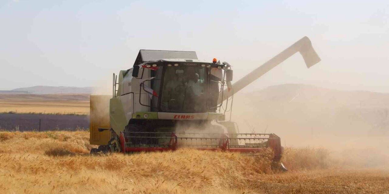 Siirt’te Toprak Mahsulleri Ofisi alım primi desteği başladı